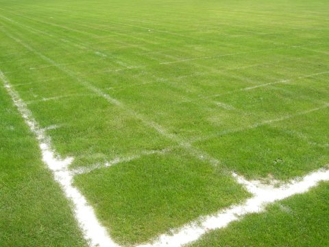 Fladenroulette 2011 – Foto 1