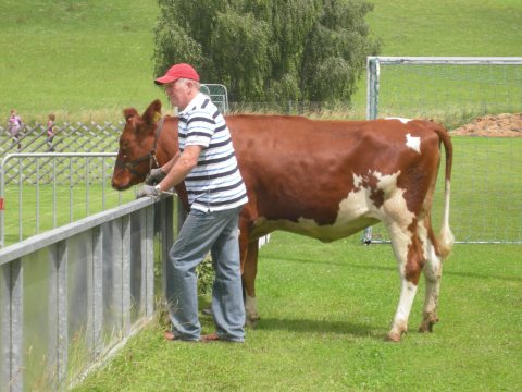 Fladenroulette 2011 – Foto 21