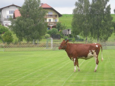Fladenroulette 2011 – Foto 25