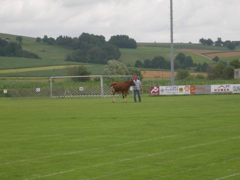 Fladenroulette 2011 – Foto 31