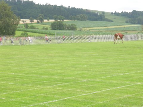 Fladenroulette 2011 – Foto 34