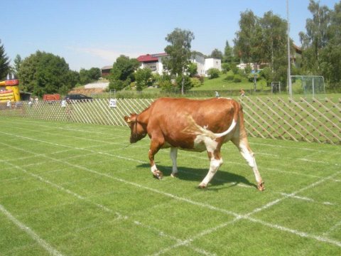 Fladenroulette 2012 – Foto 37