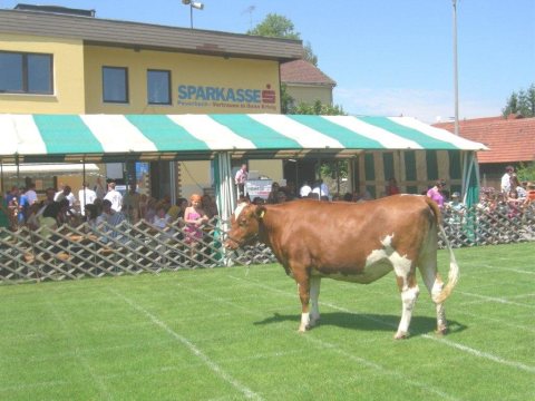 Fladenroulette 2012 – Foto 40