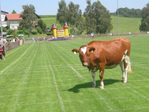 Fladenroulette 2012 – Foto 43