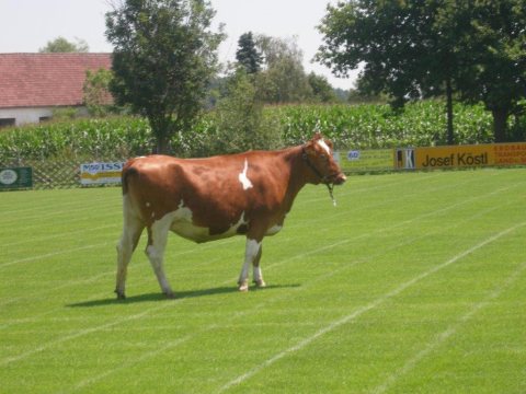 Fladenroulette 2012 – Foto 44