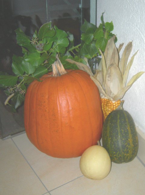 Schlossheuriger 2012 – Foto 15