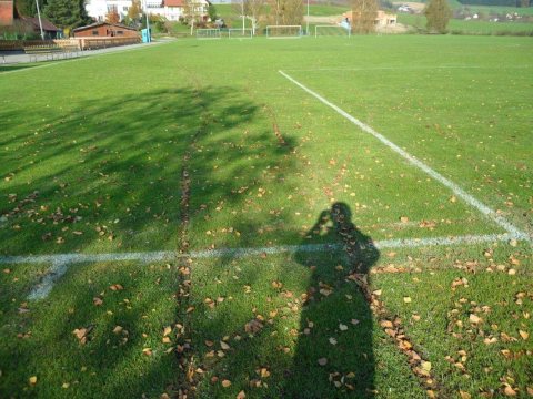 Vandalismus 2012 – Foto 18