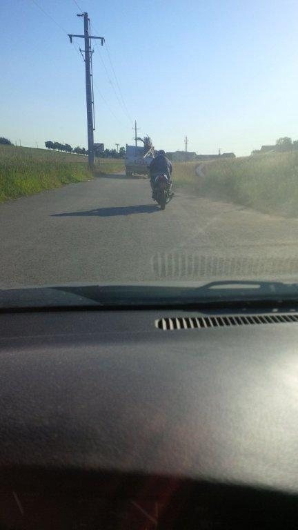 Fladenroulette 2013 – Foto 8