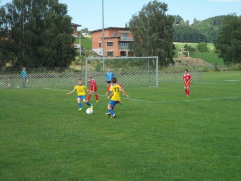 20.06.2014 U9 Turnier – Foto 5