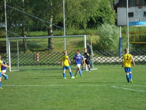20.06.2014 U9 Turnier – Foto 21