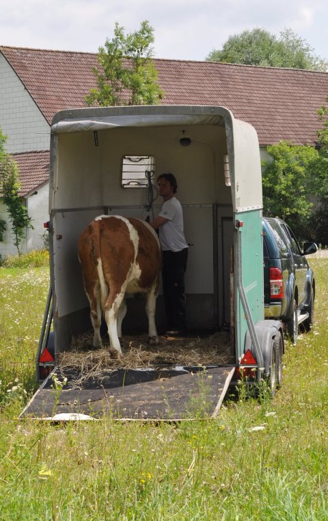 Fladenroulette 2015 – Foto 48