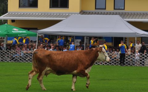 Fladenroulette 2016 – Foto 62