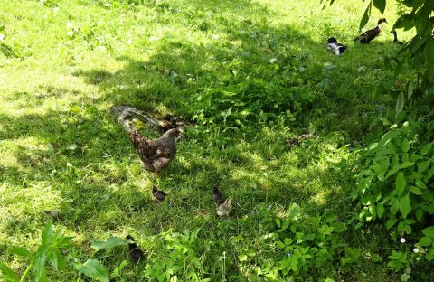 Tennisurlaub 2018 – Foto 60