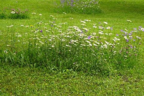 Tennisurlaub 2018 – Foto 75