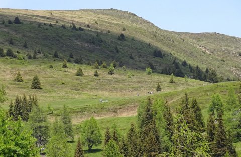 Tennisurlaub 2018 – Foto 132