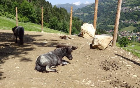 Tennisurlaub 2018 – Foto 156