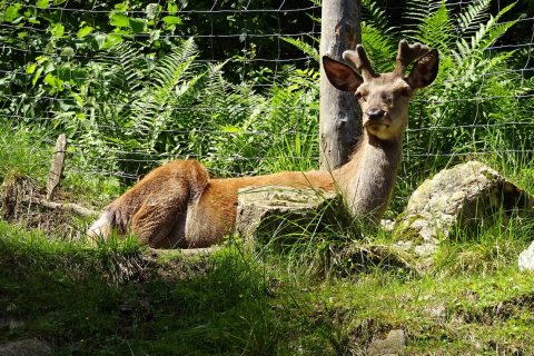 Tennisurlaub 2018 – Foto 164