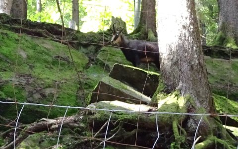 Tennisurlaub 2018 – Foto 172