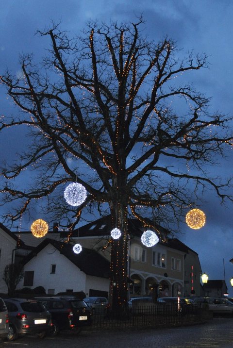 Punschstand 2018 – Foto 61