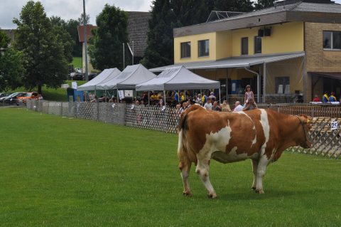 Fladenroulette 2019 – Foto 28
