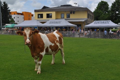 Fladenroulette 2019 – Foto 31