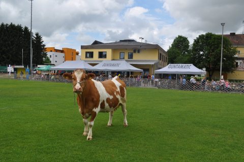 Fladenroulette 2019 – Foto 32