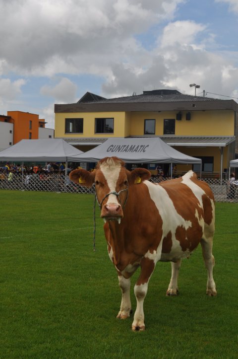 Fladenroulette 2019 – Foto 33