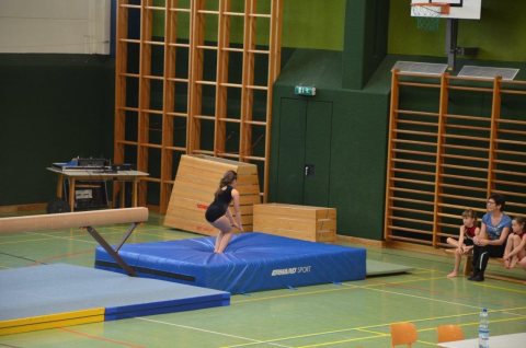 ASKÖ BM 12.04.2014, Haid – Foto 101