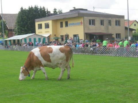Fladenroulette 2013 – Foto 44