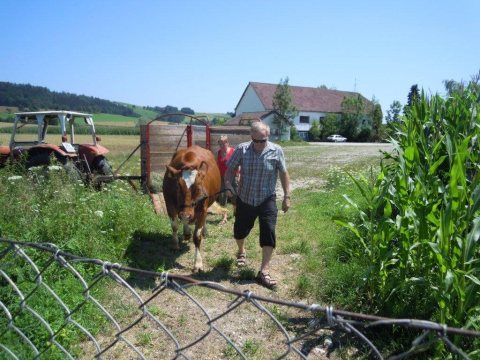 Fladenroulette 2012 – Foto 83