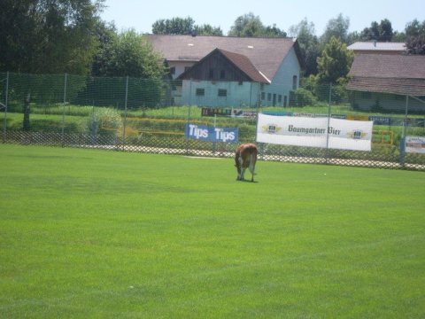 Fladenroulette 2012 – Foto 85
