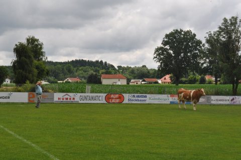 Fladenroulette 2019 – Foto 60